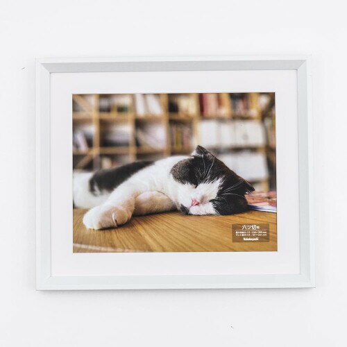 ʥХ䥷 ̿ ϻȽ ۥ磻 F-SW-119-W