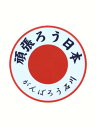 ステッカー 日の丸 頑張ろう日本 ( がんばろう 石川 ) 地震 被災地 応援 シール デカール 石川