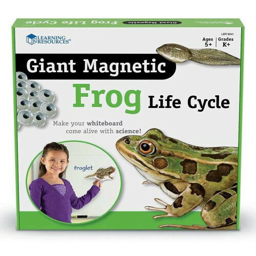 ラーニング リソーシーズ Giant Magnetic Frog Life Cycle マグネット式 カエルのライフサイクル LER 6041