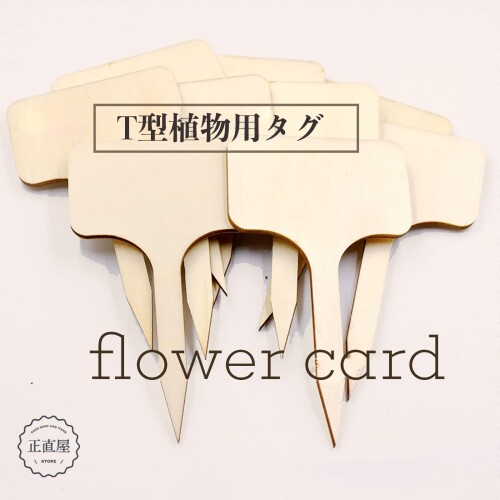 ��ľ�� ���� ����� ��٥� ��ʪ��٥� ��ʪ�ѥ��� ��ݥ�٥� �����ڱ� ���� �����ǥ� �ե������� 50����