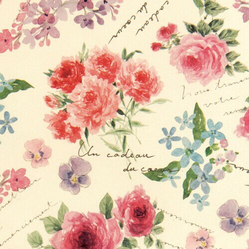  ե쥬ȥե顼-1(50) FEF-1W