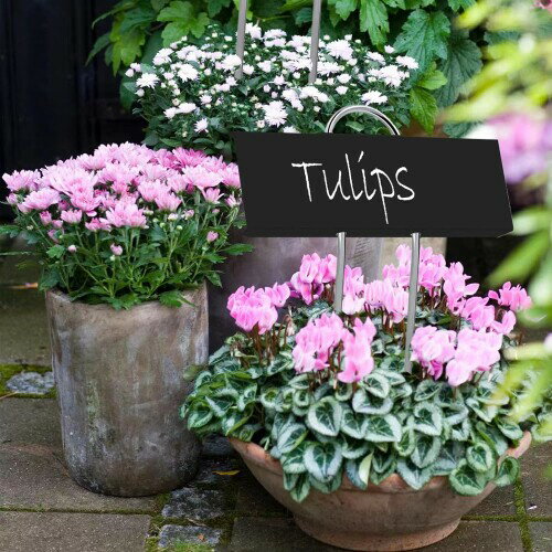 10pcs��°����ʪ��٥� ������ ��ʪ���� ����ĥ�٥� �� �����ǥ˥� DIY ����ȭ ��ʪ���� (�֥�å�)