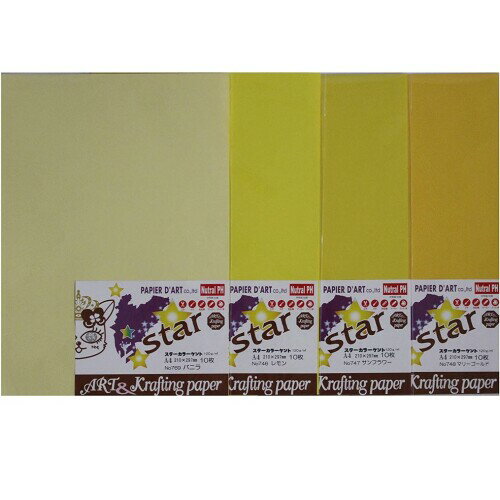  Ȼ 顼 A4 4 10祻å 5030003