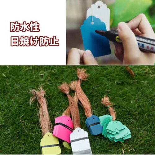 �����ǥ����ե��� ����ѥ�٥� ɳ�ϥ󥰥��� ���� ȭ�� ��ʪ ̾�� �ʤɤ� 5��3.5cm ��������