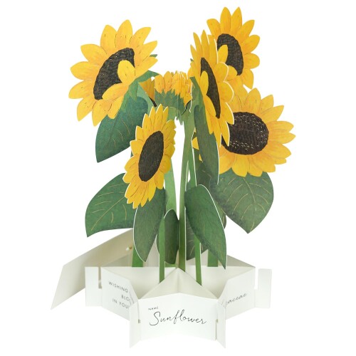 ꡼ƥ󥰥饤 ޡ   ֥롼ߥ ҥޥ KE-50 