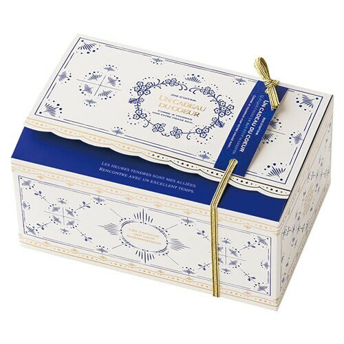 ヘッズ ギフトボックス 16×7.8×10.5cm S ホワイト ブルー 10枚 ロワイヤルネイビー ゴムタッグ付 HEADS..