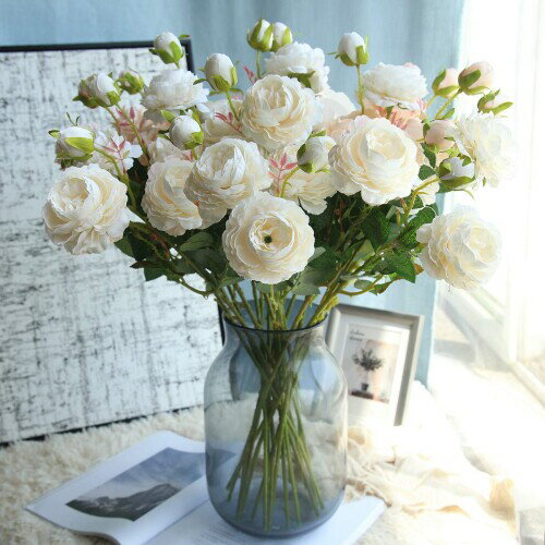 WillingYou  ¤ եե ɥ饤ե « Х 5 ۥ磻