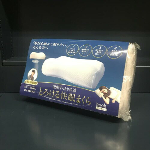 Hmmm? とろける快眠まくら KO177374 ホワイト [2]