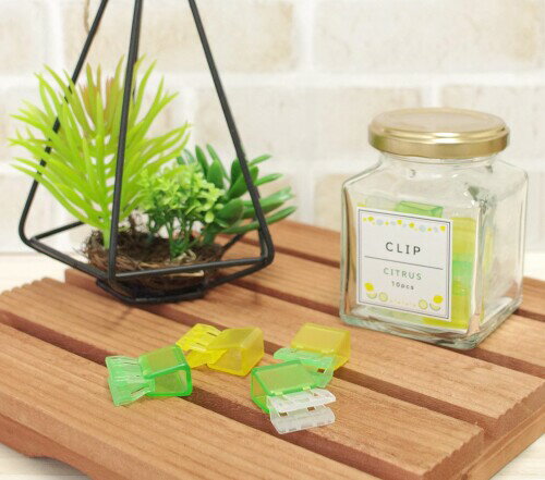 TOHKIN 襤 ޡȥå ޥå CITRUS SMC-L10MT-CI 10