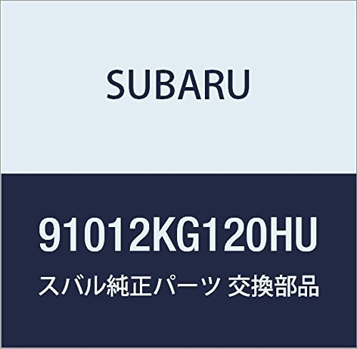 SUBARU (スバル) 純正部品 プロテクタ リヤ クオータ ライト R1 3ドアワゴン 品番91012KG120HU