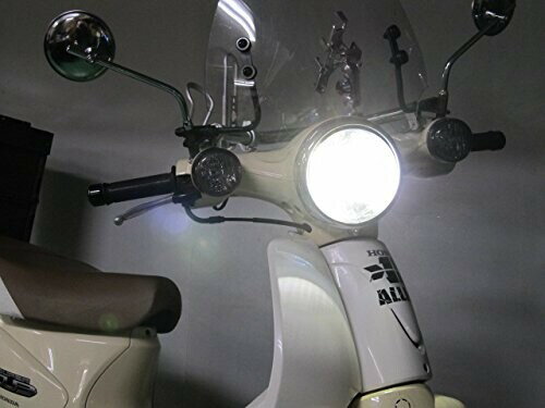 �ץ��ƥå�(PROTEC) LED�إåɥ饤�ȥХ�� ���������󥷥꡼�� 2009ǯ~2011ǯ �����ѡ�����110 (�ץ������Բ�) 65025