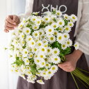 siawadeky 造花 花束 デイジー 4束 80輪花 人工観葉植物 菊 生花みたい DIY 装飾的な花 飾り 写真撮影 贈り物 開店祝い 誕生日 お見舞い ...