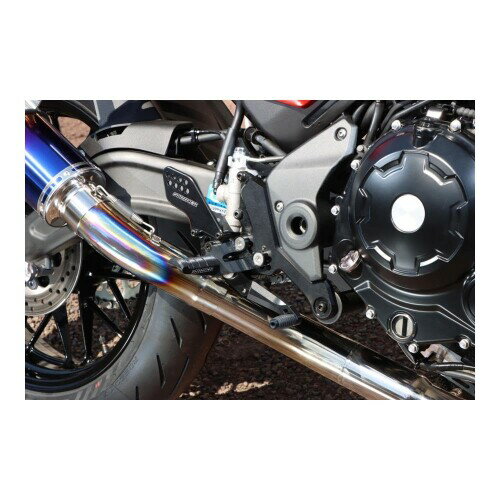 ストライカー(Striker) STCステップキット ブラック Z650RS SS-ST2164B