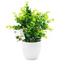 TOSSOW 人工観葉植物 フェイクグリーン 観葉植物 フェイク 造花 ミニ インテリア 世話のいらない 可愛い贈り物 グリーンユーカリ