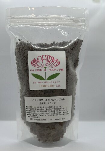 ˥㤨ּıݿʪ(Shibata Engei Hamono ϥɥܡޥ 0.6LפβǤʤ1,692ߤˤʤޤ