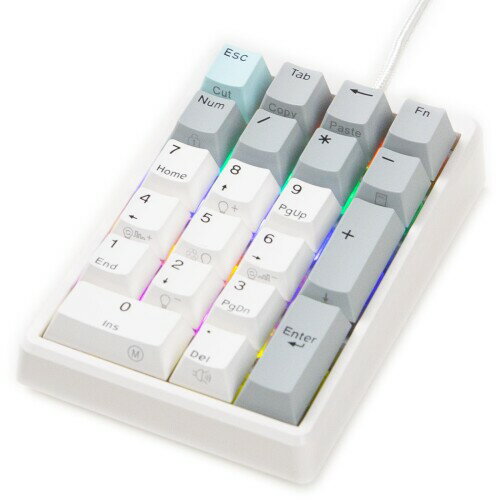 NiZテンキー EC21-1M 21キー 有線 数字キーボード Cherry MX軸 専用ソフトウェア付き キーボードカスタマイズ可能 オフィス/プログラムモード 静電容量無接点方式 静音 キー荷重35g 英語配列 PB