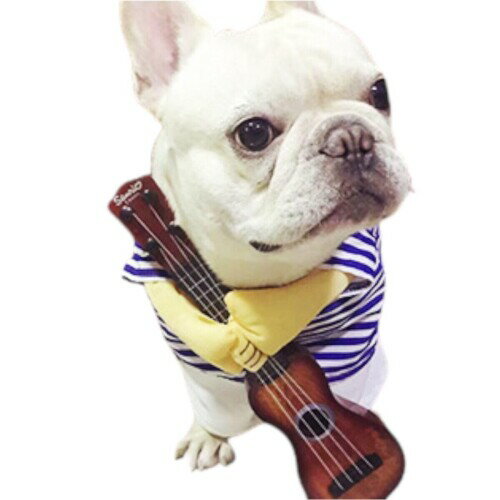 Sweeml 犬 猫 ペット用 コスチューム 服 コスプレ ウクレレ ギター ボーダー 可愛い アフロ ウィッグ 洋服 小型犬 中型犬 (M, ウィッグなし)