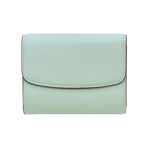 ブレイリオ システム手帳 ミニ 5 モルビド 11 mm イブ リット アクア ガーデニア 614 07