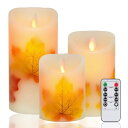 AnnTec LEDキャンドルライト ロウソク 秋の紅葉 本物の炎のようにゆらめく3点セット 暖色光 火を使わない ゆらゆら揺れる 安全 省エネ 専用リモコン付...