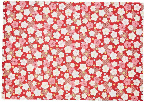 (Sasagawa)  10 ˤ ȾȽ 49-7772