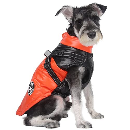 ABRRLO 犬服 反射ダウンベスト 防水ジャケット 犬洋服 コート ペット服 冬 小中型犬 ドッグウエア 二つの足 防寒 厚い 可愛い 柔らかい 猫 子犬 お散歩 お出かけ（オレンジ L） 【反射犬冬のコート】色は明るく目を引く。ペットは、この冬のコートを着ると非常にクールになります。 反射的なストリップの設計は、夜に運転している車両や歩行者によって見やすいです。ペットの安全を保護するために。 【柔らかくて暖かい犬のベストコート】犬の冬のベストコートは、風を防ぎ、柔らかい綿の裏地が犬猫を寒い冬に快適で暖かくします。 【Dリング付き子犬のコート】背部にはダブルDリングがあり、リードをぶら下げても便利です。 (この製品にはリードが含まれていないことに注意してください)犬のタグを掛けるために使用できるDリングもあります。 【高密度防水生地】犬のダウンは高密度防水生地でできており、水しぶきや水しぶきや汚れが付着した場合でもお手入れが簡単です。 【簡単に着る】高品質のジッパー、滑らかで耐久性があります。 腹は弾力性があります。 着るのは簡単です。 購入前にペットのサイズを測定するには、サイズチャートを参照してください。 ご質問がある場合は、お気軽にお問い合わせください。 商品コード62068110593商品名ABRRLO 犬服 反射ダウンベスト 防水ジャケット 犬洋服 コート ペット服 冬 小中型犬 ドッグウエア 二つの足 防寒 厚い 可愛い 柔らかい 猫 子犬 お散歩 お出かけ（オレンジ L）型番PE22E1042AM03サイズLカラーオレンジ※他モールでも併売しているため、タイミングによって在庫切れの可能性がございます。その際は、別途ご連絡させていただきます。※他モールでも併売しているため、タイミングによって在庫切れの可能性がございます。その際は、別途ご連絡させていただきます。