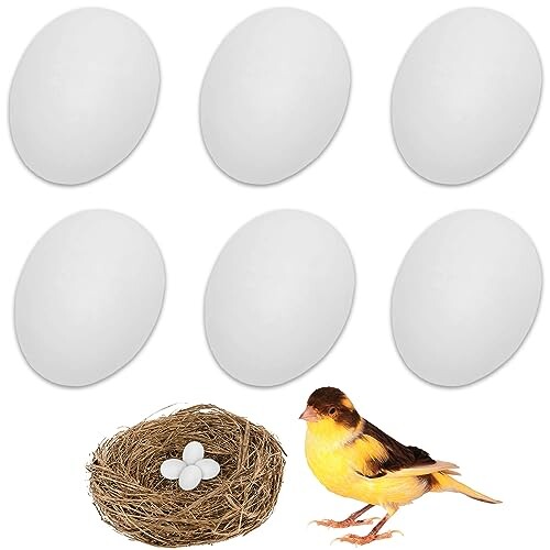 偽卵 鳥おもちゃ 6個セット 偽の卵 プラスチック製の卵 繁殖用品 鳥の玩具 孵化卵のシミュレーション ..