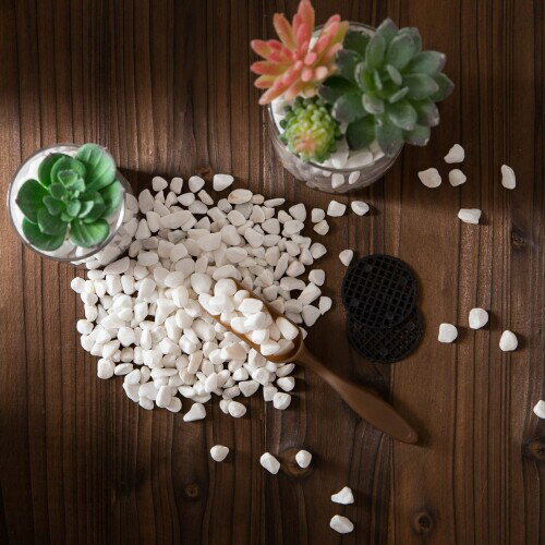 LIHAO ȭ���� �򤤺��� ���� �ۥ磻�� ���� ��� 460g �ץ饹���å������å� �ͥå��դ�