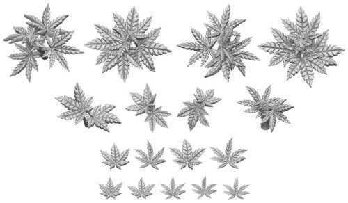 グリーンスタッフワールド ジオラマアクセサリー 3Dプリントセット 麻の葉 17個入 レジンキット GSWD-1..