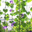 つる植物ネット つる栽培 園芸ネット 角目10cm 線径2MM 抗風化 耐荷重 防水HDPE 四角ロープ付き 取り付け簡単 農業 温室 庭 屋外 きゅうり/糸瓜...