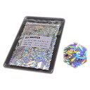 DIY MASTER レインボー ラメ フレーク ロング 25g(ワケあり在庫処分品)
