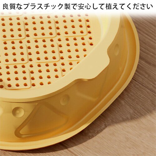 ��̺���ǭ�� �ܥå��� 2�ĥ��å� ǭ����ݥ��å� �ץ�󥿡� ���å� �쥤�䡼�ɥǥ����� �忢ʪ���ץ饦���� ȯ�ꥳ��ƥʡ� ���� ����åȥ��饹�ȥ졼ǭ����