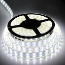 高輝度LEDテープライト 5m 防水 24V 600連SMD5050 二列式 カバー付 白 ホワイト 白ベース 正面発光 漁船/船舶/トラック/屋外照明/led間接照明