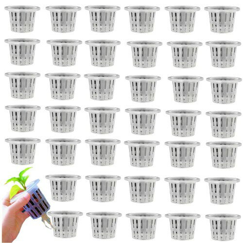 Granmagazz 水耕栽培鉢 40個セット 定植かご プラスチック植栽バスケット水耕栽培鉢 水耕栽培ポット 水栽培かご鉢 給水栽培用 定植かご ガーデンニング 庭 園芸 植物栽培 野菜栽培 苗運搬