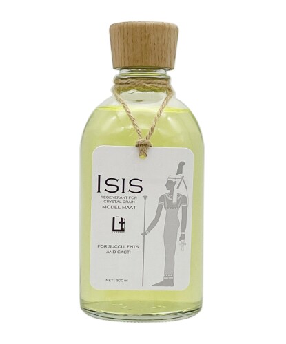 ラテラ クリスタルグレイン再生液 イシス 多肉植物・サボテン専用 モデル マアト 本品1本でクリスタル..