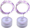 オーディオファン LEDライト 20灯 イルミネーション ストリング ボトルライト CR2032 (別売) 2個で48時間以上点灯 防滴 パープル 2m 2点