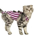 イケノコイ 術後服 猫用 タイト 不妊手術 二枚セット 着替え （XL 4.75kg以上） 【注意】色について、ランダムに出荷する。 素材:モダール(手動裁断) 傷舐め防止の術後服。適応性・快適性・通気性・弾力性が高い 体重によってご注文ください。商品の輸送は遅い場合もありますので、届く期日によって、猫の手術期日を決めてください。 商品内容:術後服2(ランダムに出荷して、色が違う) 【注意】色について、ランダムに出荷する。(二枚の術後服は色が違う。画像にない色もある。) 【注意】色について、ランダムに出荷する。(二枚の術後服は色が違う。画像にない色もある。) モダールは快適かつ弾力あり、猫の体にぴったりあって、術後の傷を舐めないように保護する。 長時間の術後服を作る経験で本製品は90%以上の雌の猫も脱げにくい。 日常生活に支障とならず、適応性 ■快適性 ■通気性 ■弾力性が高い。 背部に固定用ひもが長すぎたら、切ればいい。 術後服のおしりのところに小便用の口があって、ご了承ください。 ※ 猫の不妊手術後の看護をご注意ください。商品の輸送は遅い場合もありますので、届く期日によって、猫の手術期日を決めてください。 商品コード62068090891商品名イケノコイ 術後服 猫用 タイト 不妊手術 二枚セット 着替え （XL 4.75kg以上）型番JYF1サイズXL※他モールでも併売しているため、タイミングによって在庫切れの可能性がございます。その際は、別途ご連絡させていただきます。※他モールでも併売しているため、タイミングによって在庫切れの可能性がございます。その際は、別途ご連絡させていただきます。