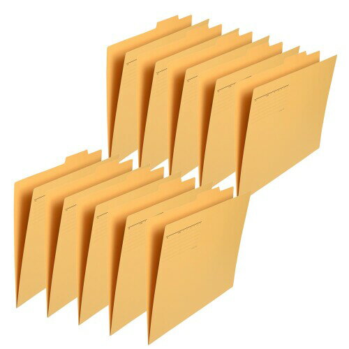 プラス ファイル 個別フォルダー 再生紙 A3 イエロー 10枚入 FL069IF 87-427×10