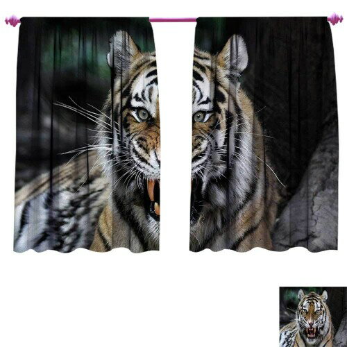 Stream Trail(ストリームトレイル) キャディートラベルバッグ (HAW CADDY TRAVEL BAG)