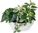 Villa Como フェイクグリーン インテリア グリーン 人工観葉植物 卓上 鉢植え ポトス ゴムの木 造花 エアプランツ おしゃれ かわいい オフィス プ...