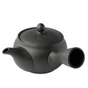 風景ドットコム 常滑焼 急須 222A 帯アミ 310ml 日本製 (黒)