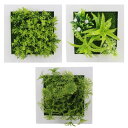 SALUDABLE 観葉植物 フェイクグリーン インテリア 多肉 造花 ウォール 壁掛け 3点セット (Bセット)