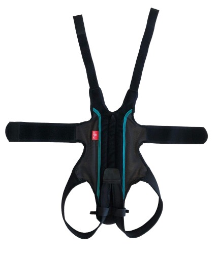 アニフル (anifull) わんコル 緑 M (犬用コルセット)