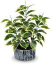 Villa Como フェイクグリーン インテリアグリーン 人工 観葉植物 ガジュマル 葉っぱ 造花 インテリア お手入れやすい 水やり不要 害虫駆除不要 室内 家庭 オフィス (緑&黄色)