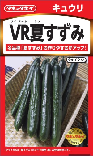 タキイ種苗 キュウリ ニュールック野菜 VR夏すずみ 名品種「夏すずみ」の作りやすさがアップ