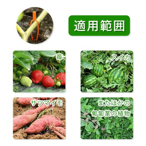 ��ݥ���å� ���ʡ��ԥ� ��ʪ���ꥯ��å� ��ʪ���ݡ��� ����ѥ���å� ����Ѷ� Ͷ����� ������ �����ǥ˥� �Ĥ뿢ʪ �����Ѳ�ǽ ������ ���� DIY ����� 100������