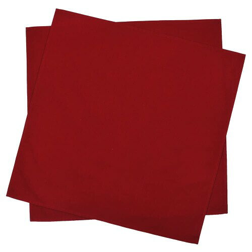 スタイルデコール(STYLE Decor) テーブルナプキン／トーション 2枚セット 無地オックス・ボルドー 布巾 ふきん ナフキン カラーナプキン 厚手 食器拭き W5103300