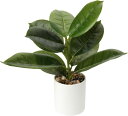 Villa Como フェイクグリーン インテリアグリーン 人工 観葉植物 ツバキ 葉っぱ 造花 インテリア お手入れやすい 水やり不要 害虫駆除不要 室内 家庭 オフィス おしゃれ お祝い ギフト (ゴ