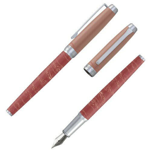 アイダブリュウアイ 万年筆 極細 ネーチャー 火山 7S220FP-1D