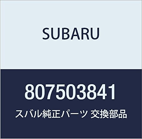SUBARU (スバル) 純正部品 ホース レガシィB4 4Dセダン レガシィ 5ドアワゴン 品番807503841