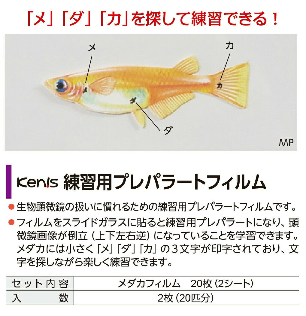 顕微鏡 練習用 プレパラートフィルム MP メダカ 20匹